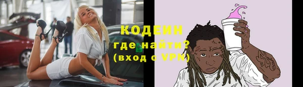 крисы Лагань