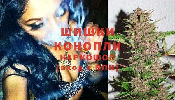 PSILOCYBIN Лихославль