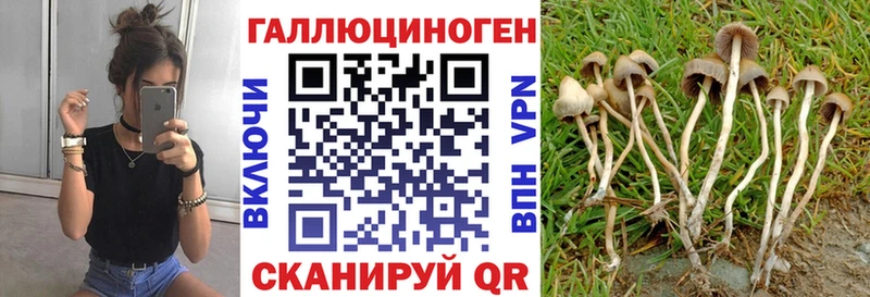 наркошоп  Райчихинск  МЕГА сайт  Псилоцибиновые грибы Cubensis 
